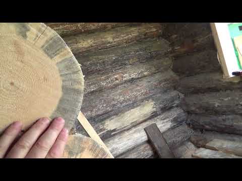 Видео: В чем дело ?? почему плесень