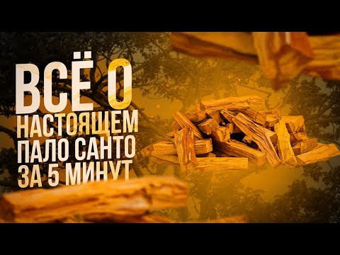 Видео: ВСЁ о Пало Санто за 5 минут! Спец выпуск. Palo Santo как использовать? Все секреты в одном видео.