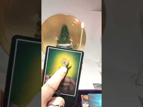 Видео: ВРЕМЯ ПРИШЛО👌🤯🫶🥂🦚👏