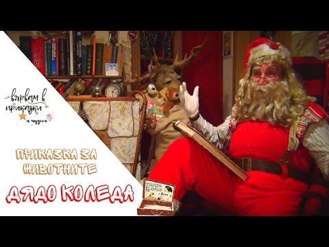 Видео: Дядо Коледа - Приказка за фестивала на животните (Театър в куфар с Лети)