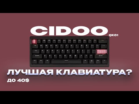 Видео: ЛУЧШАЯ КЛАВИАТУРА ДО 40$┃обзор клавиатуры CIDOO QK61
