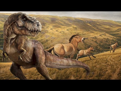 Видео: Как Доисторическая Лошадь смогла пережить Динозавров?