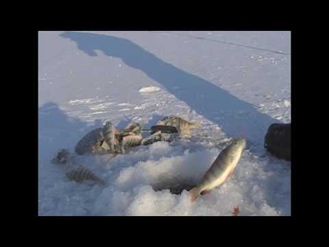 Видео: Красноярское море, Залив Шумиха 1. 01. 2019