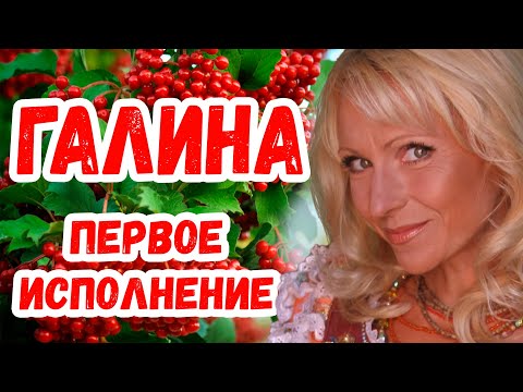 Видео: СУПЕР ХИТ ГАЛИНА