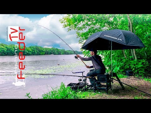Видео: Рыбалка на фидер. Рыбалка в июне. Как поймать рыбу которой нет. Vlog #37. Пузанов не умеет ловить.