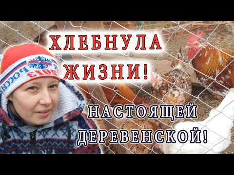 Видео: Хлебнула настоящей деревенской  жизни! 120 кур свалились на мою голову!