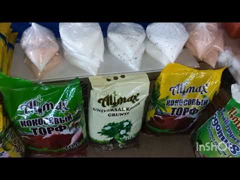 Видео: 12 НОЯБРЬ ТОШКЕНТ ЧОРСУ  ГУЛ БОЗОРИ