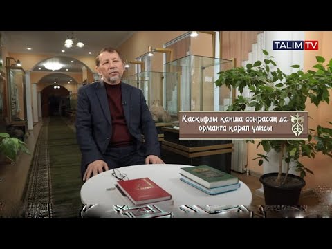 Видео: Қасқырды қанша асырасаң да ...
