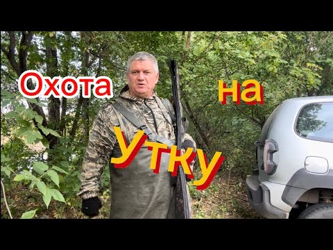Видео: Охота на утку# ружьё МР 155 