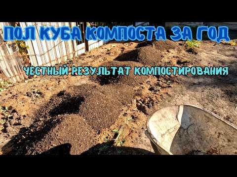 Видео: Распаковка компостной кучи, наглядный результат компостирования через год.#компост #урожай