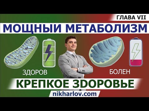 Видео: Как дышат митохондрии. Электрон-транспортная система. Синтез АТФ, окислительное фосфорилирование.