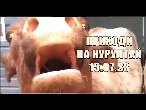 Видео: Анонс курултая и ответы на вопросы -Стрим Звонова (10.07.2023)