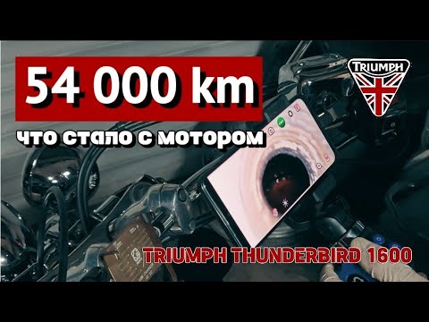 Видео: О надежности английской техники | в каком состоянии мотор Triumph Thunderbird 1600 после 54 000 км