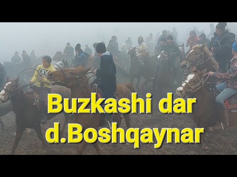 Видео: Бузкаши дар д.Бошкайнар н.Ёвон #3 #бузкаши #tajikistan #shorts #рекомендации #купкари #laqay