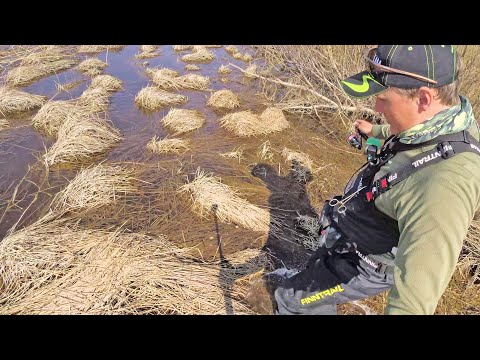 Видео: Рыбалка в Мае на разливе реки. КЛЮЁТ ЛУЧШЕ УТРОМ ИЛИ ВЕЧЕРОМ?
