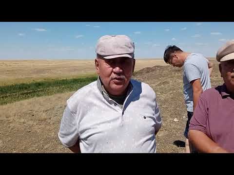 Видео: Атамекен