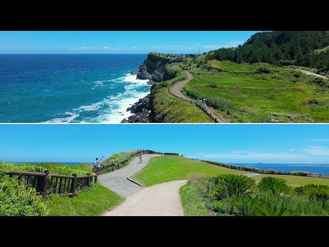 Видео: Живописная прогулка по берегу в Корее – Потрясающие панорамы и морской бриз