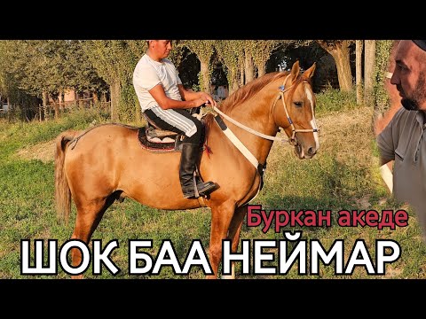 Видео: Неймар 🔝 мандай баа жок дейт Буркан аке🔥 16 сентября 2025 г.