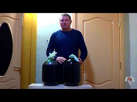 Видео: Домашнее ВИНО / Стадия ТИХОГО БРОЖЕНИЯ / Основные ОШИБКИ