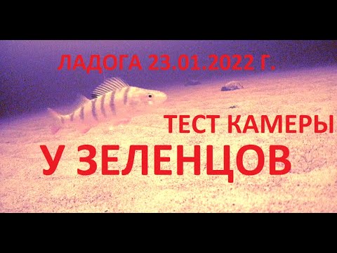 Видео: Зимняя рыбалка на окуня с камерой FocusFish. Ладожское озеро 23.01.2022 г