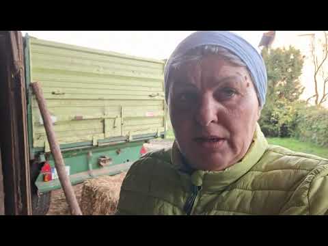 Видео: Поехала за одним а купила другое. Вечерняя управа на птичьем дворе.