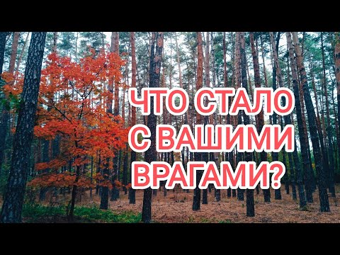 Видео: 🍀3 камня🍀ЧТО СТАЛО С ВАШИМИ ВРАГАМИ? 