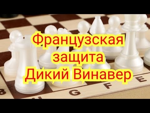 Видео: 9) Французская защита.(Дикий Винавер, за чёрных).Минич-Корчной.0-1.1966г.