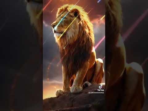 Видео: Накратко за Зодия Лъв