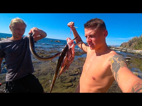 Видео: Моя первая подводная охота🤯 СЬЕЛ ЯДОВИТУЮ КРЫЛАТКУ