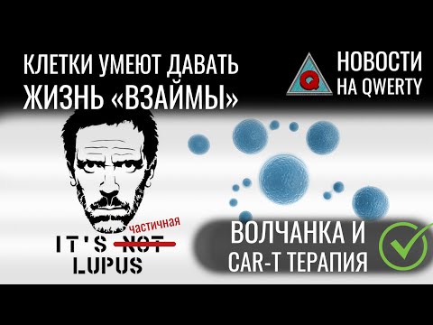 Видео: CAR-T терапия. Обмен жизнью. Кольца Нептуна. Инфекция от мух. Ионолёт. Новости QWERTY №230