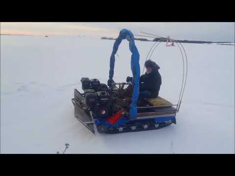 Видео: Грузовой вездеход на гусеницах из двух мото собак