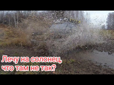 Видео: Ошибки при создании и поддержании солонца.