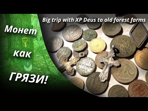 Видео: ОТОРВАЛСЯ ПО-ПОЛНОЙ! Большое путешествие с XP Deus по лесным хуторам. Big trip with XP Deus