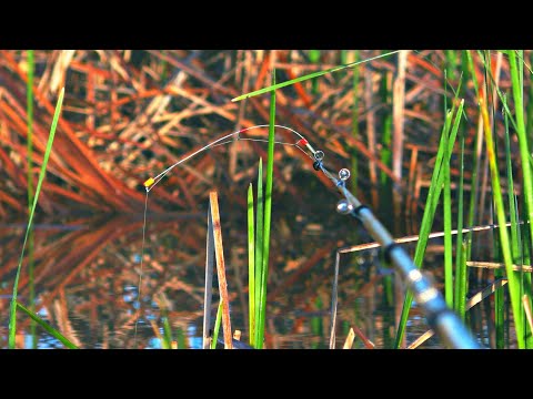 Видео: ЛОВЛЯ ЛИНЯ НА УДОЧКУ С БОКОВЫМ КИВКОМ или день, когда рыбалка пошла не по плану!