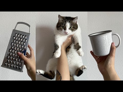 Видео: Возьми ЭТО в ОБЩАГУ Обязательно!