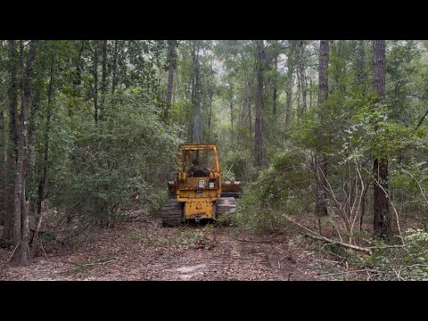 Видео: Готовимся к сезону охоты на оленей! 🦌