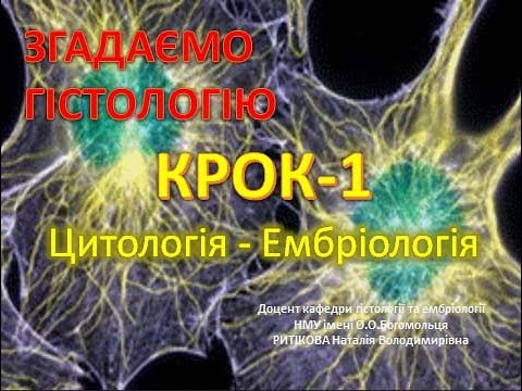 Видео: Гістологія до КРОК 1 = Цитологія, ембріологія