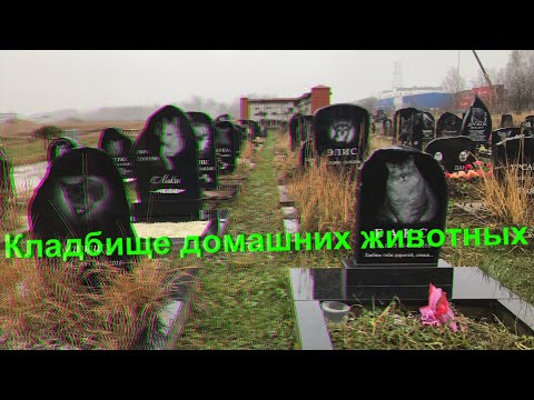 Видео: Кладбище домашних животных