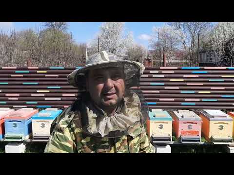 Видео: Правильное Расширения Гнезда Весной!!!