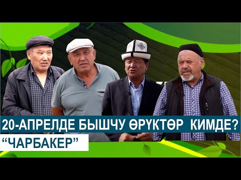 Видео: 20-АПРЕЛДЕ БЫШЧУ ӨРҮКТӨР  КИМДЕ?//ЧАРБАКЕР