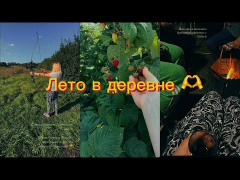 Видео: Приехали к родителям/Красочное лето в деревне/Отдыхаем и помогаем/Потеряли все стрелы в поле