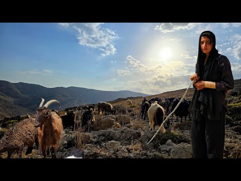 Видео: Кочевая жизнь в первозданных горах Ирана | Повседневная жизнь девушки-кочевницы и пастушки овец