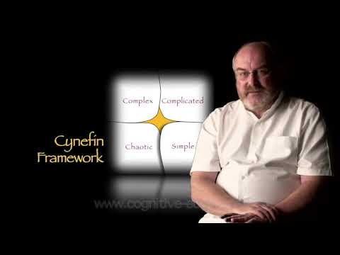 Видео: Кратко что такое Кеневин фреймворк (Cynefin framework) - Дэйв Сноуден - на русском