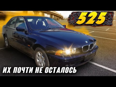 Видео: BMW 525 E39 Как она сохранилась в Германии