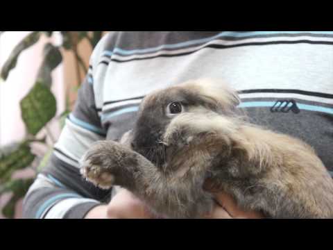 Видео: Открытая карта:Кулебакский район