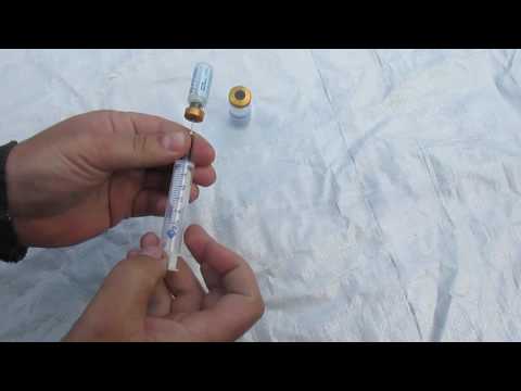 Видео: Щеплення кролів вакциною "Песторін-мормікс"