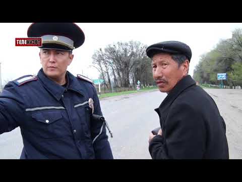 Видео: Телекүзөт: Каршы тилкеге айдап, инспекторго кыр көрсөткөндөр