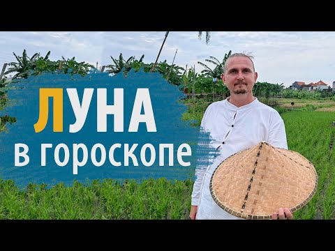 Видео: ЛУНА В ГОРОСКОПЕ I Дмитрий Пономарев
