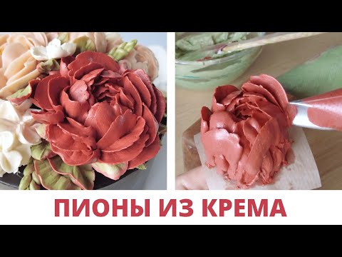 Видео: Как сделать красный пион из белково-масляного крема?