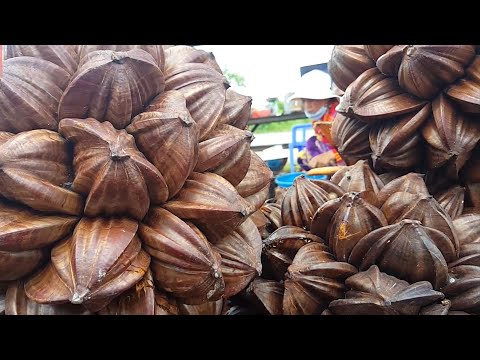 Видео: Мангровая пальма (Нипа) |  Интересные факты